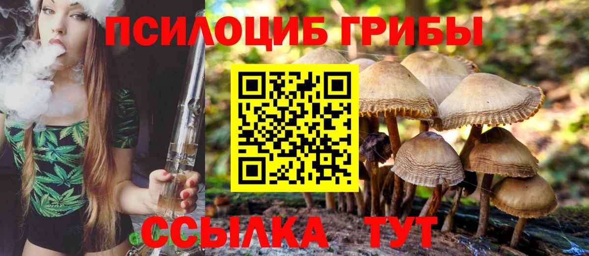 где купить   Вход с VPN  Можайск  Псилоцибиновые грибы мухоморы 