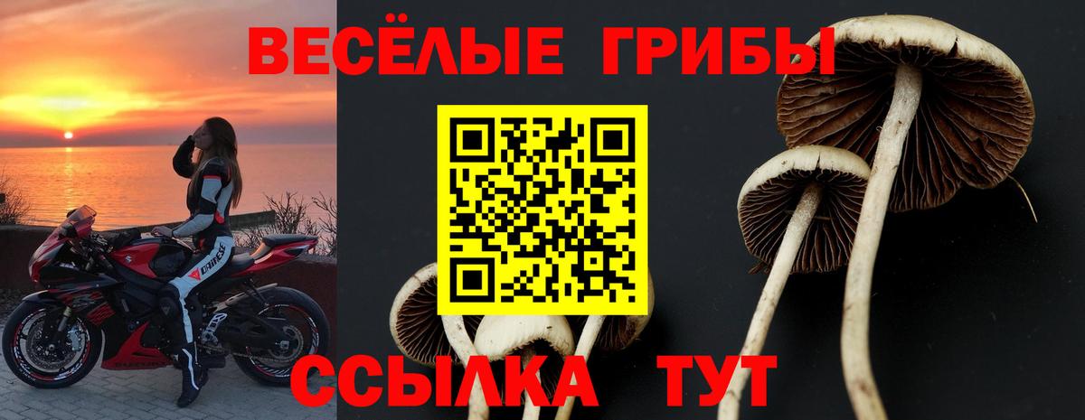 Галлюциногенные грибы MAGIC MUSHROOMS Можайск